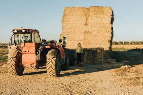 A man in work clothes preparing feed to be transported on a tractor Stock Photos
