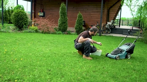 Man in work clothes pulls weeds on a beautiful lawn near a wooden house Stock Footage 194945938