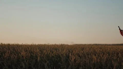 Man at Work in Green Cap Checks Crops Stock Footage