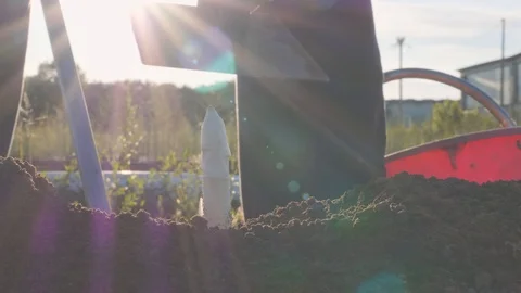 Man at work to pick up the asparagus Stock Footage 90217900