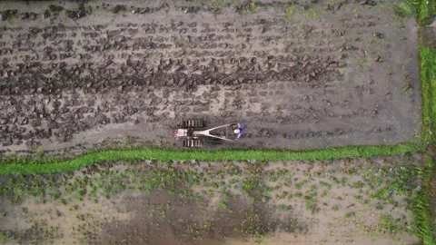 Man work at rice field, prepare land using walking tractor and plow Stock Footage 202523580