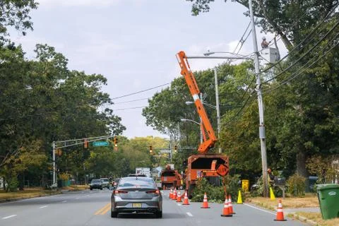 Man in work wear cutting tree branches over the wires on the height fallen tr Stock Photos