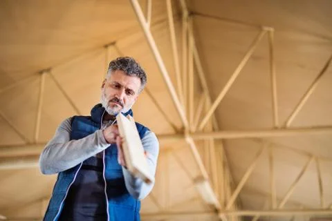 A man worker in the carpentry workshop, working with wood. Stock Photos