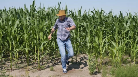 Man Worker Celebrating Funny Viral Dance Freedom. Excited Celebrating Succe.. Stock Footage 226325204