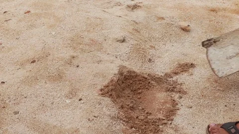 A man worker shoveling sand using shovel to move Stock Footage 304637155