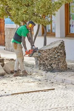 A man worker uses a chainsaw to cut the rest of a palm tree trunk Stock Photos