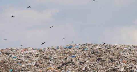 Man worker walks on huge garbage hill on city dump in third world country. Stock Footage 113072727