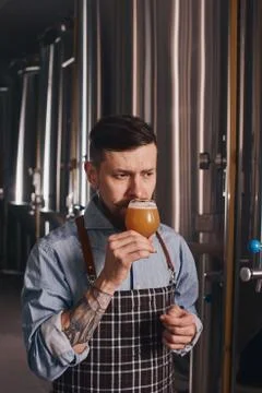 Man working at the bar sniffs beer in the glass. Stock Photos