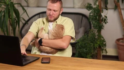 Man is working on a black notebook, laptop and cat is laying in his hand Stock Footage 170046841