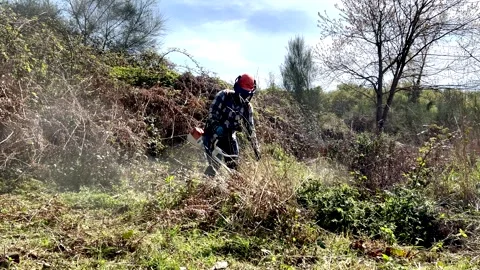 Man working with a brush cutter clearing the weeds Stock Footage 314043840