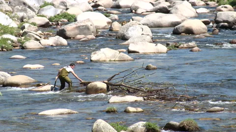 Man working on cleaning the riverbed of vegetation Stock Footage 49059280