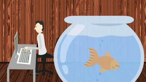 Man Working on a Computer and a Dead Fish in a Fish Tank Stock Footage 85432353