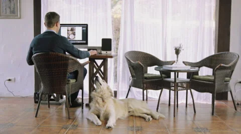 Man working on computer in a bright room with dog sleeping on the floor. Stock Footage 59840286