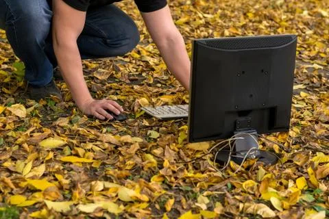 A man working at a computer on a fallen yellow foliage in the city on the street Foto stock