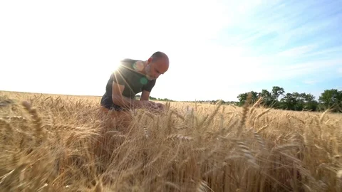 Man working in corn field Stock Footage 77414407