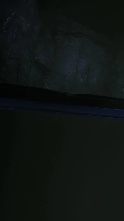 Man working at desk with computer and green light in a dark room Stock Footage 334889310