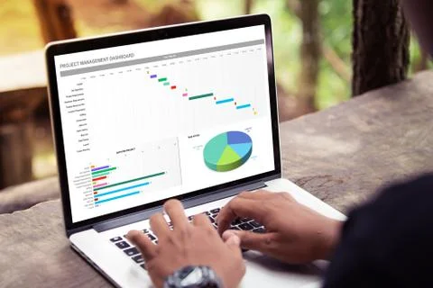 Man working with excel project dashboard on laptop / computer at the park / outd Stock Photos