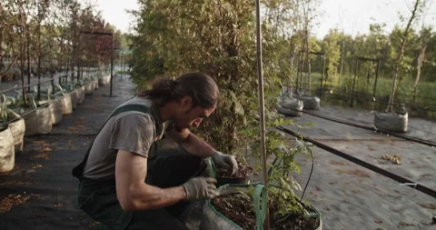 Man working on farm in summer Stock Footage 202140743
