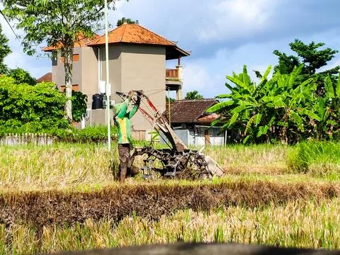 A man is working in a field with a tractor Stock Photos