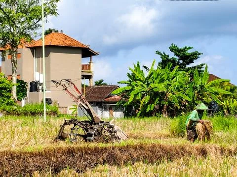 A man is working in a field with a tractor Stock Photos