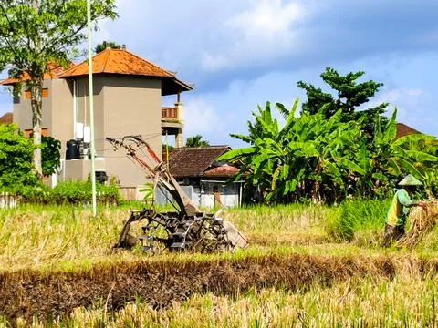 A man is working in a field with a tractor Stock Photos