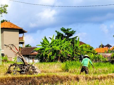 A man is working in a field with a tractor Stock Photos