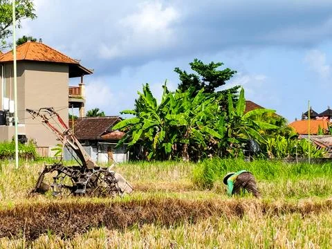 A man is working in a field with a tractor Stock Photos