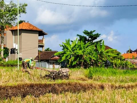 A man is working in a field with a tractor Stock Photos