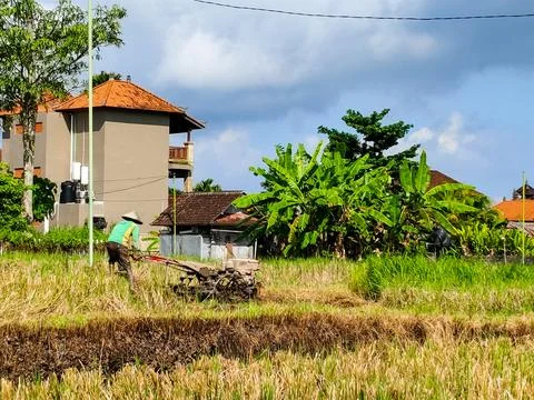A man is working in a field with a tractor Stock Photos
