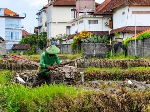 A man is working in a field with a tractor Stock Photos