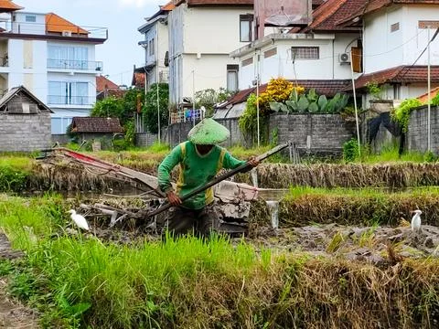 A man is working in a field with a tractor Stock Photos
