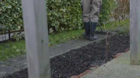 A man is working on a garden, and there is a tree in the background Stock Footage 301618645