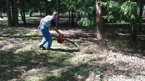 A man is working in the garden (forest) Stock Footage 63765299