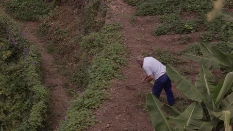 Man Working in Garden With Hands Tools Video stock 70694158