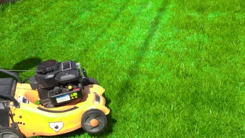 The man is working in the garden. Mowing grass with a lawn mower. Stock Footage 247812465
