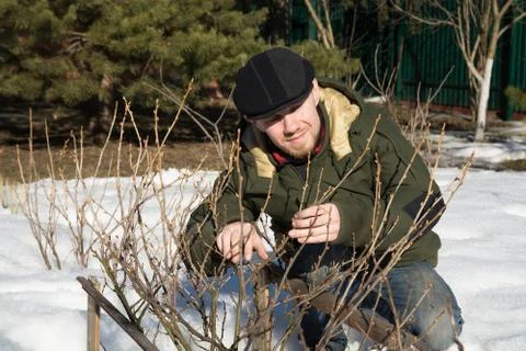 Man working in the garden Foto stock