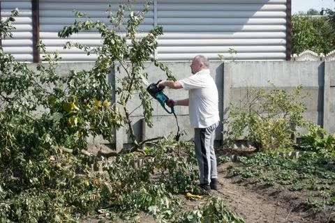Man working in the garden Stock Photos