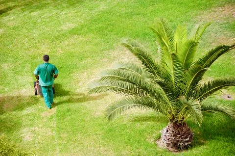 Man working in garden Stock Photos