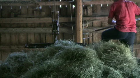 Man working with an hay fork Video stock 489074