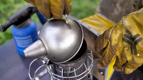 Man working with hive and bees with smoke 스톡 동영상 233897200