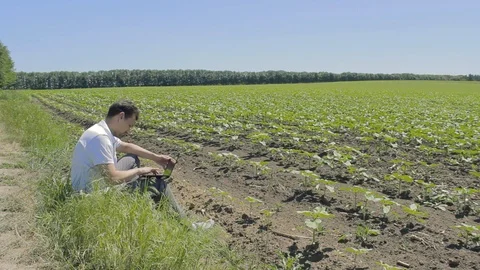 Man is working on a laptop on the edge of the field Stock Footage 93964847