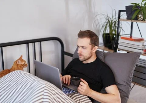 Man working on laptop lying in bed with ginger cat Stock-Fotos