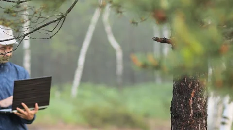 A man working on a laptop near a tree in the forest. Early morning Stock Footage 64595096