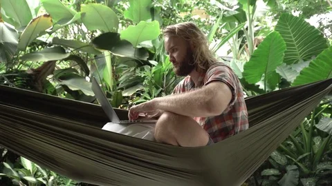 Man working on laptop while sitting on hammock, exotic backgrou Stock Footage 84841237