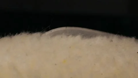 Man working with leather, shoemaker designer fashion work with shoes boots close Stock Footage 143702550