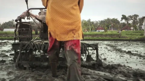 A man working with a motor plow in a rice field near Ubud, Bali Stock Footage 64414596