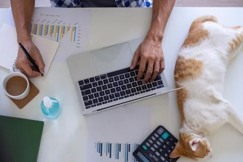 A man working or study online in the living room on the sofa. due to the spre Foto stock