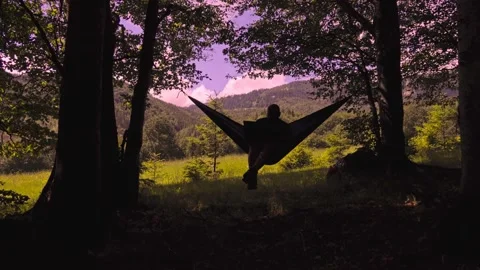 Man working outdoors with laptop in hammock Stock Footage 133326430