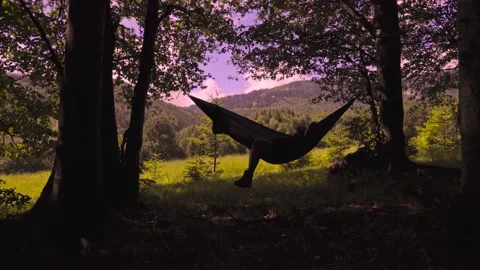 Man working outdoors with laptop in hammock Stock Footage 133326480