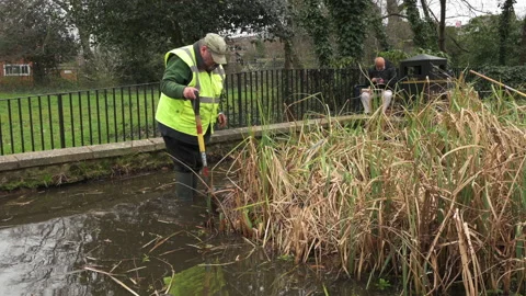 Man in working on overgrow Dipping pond Stock Footage 236241813